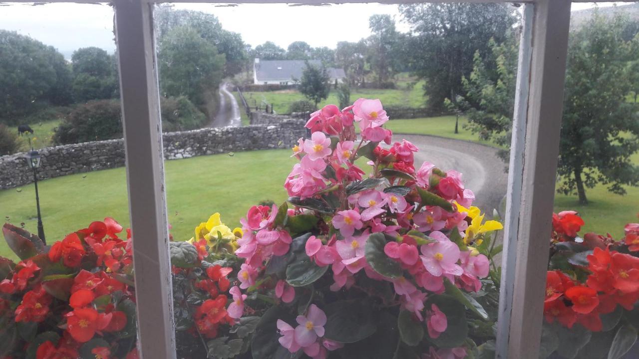 Bealkelly Country House Killaloe Bagian luar foto