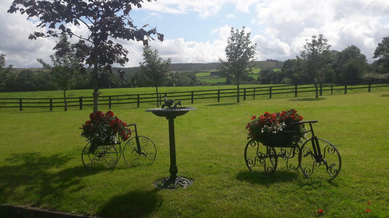 Bealkelly Country House Killaloe Bagian luar foto